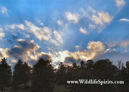 Click Picture to send as an  E-PostCard 54k 550x391